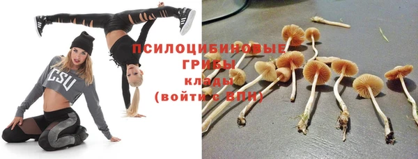 тгк Пестово