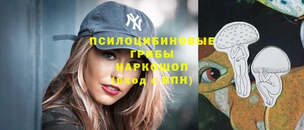 тгк Пестово