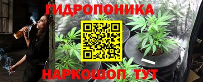 стафф Канаш