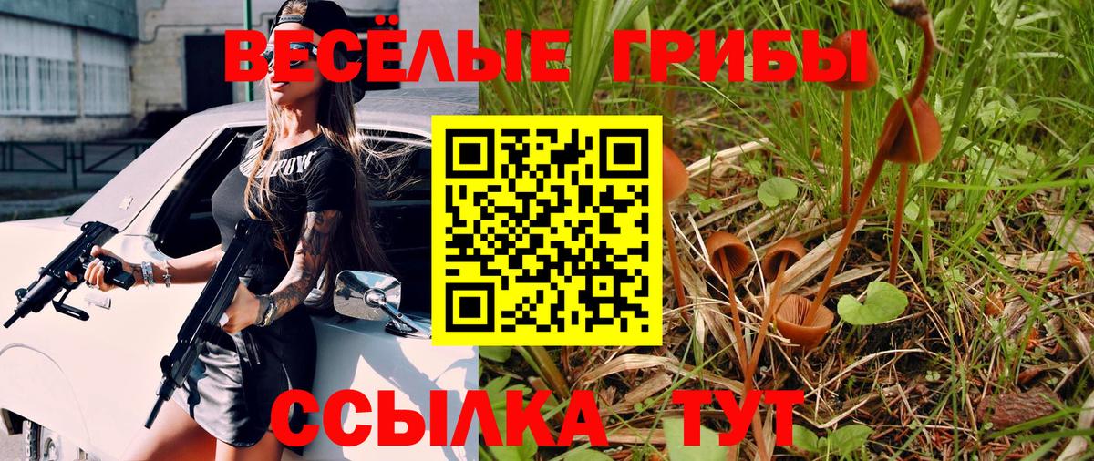 Галлюциногенные грибы Cubensis Тобольск